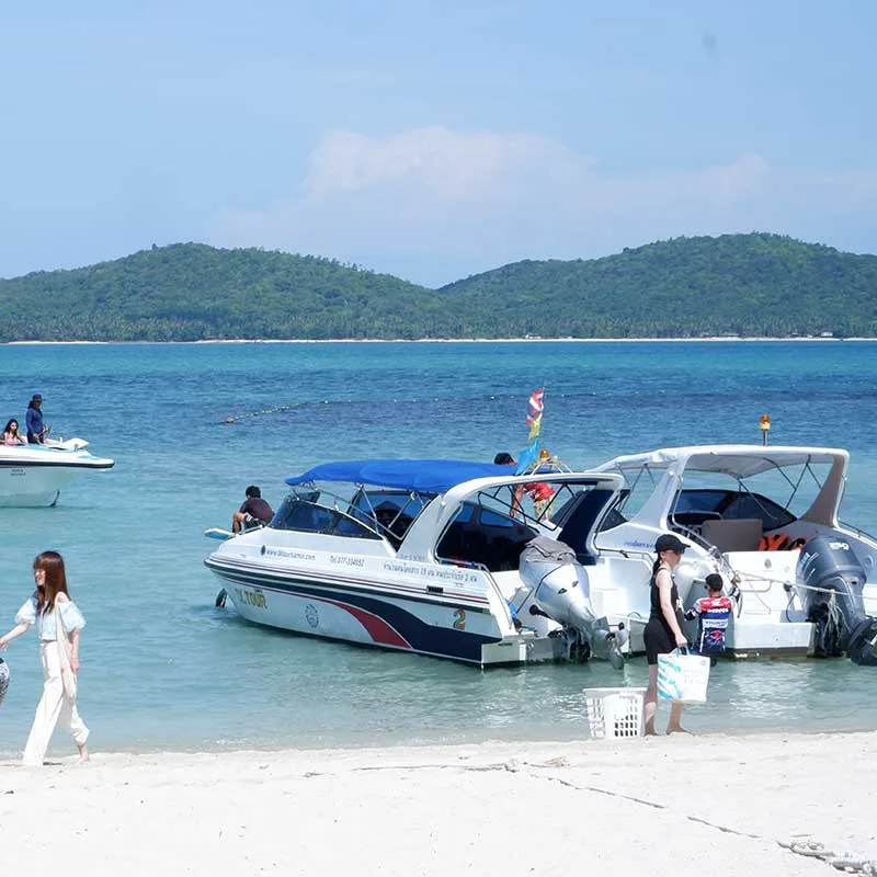 speedboat-day-tour-sightseeing-dolphin-koh-tan-pig-island speedboat-day-tour-sightseeing-dolphin-koh-tan-pig-island