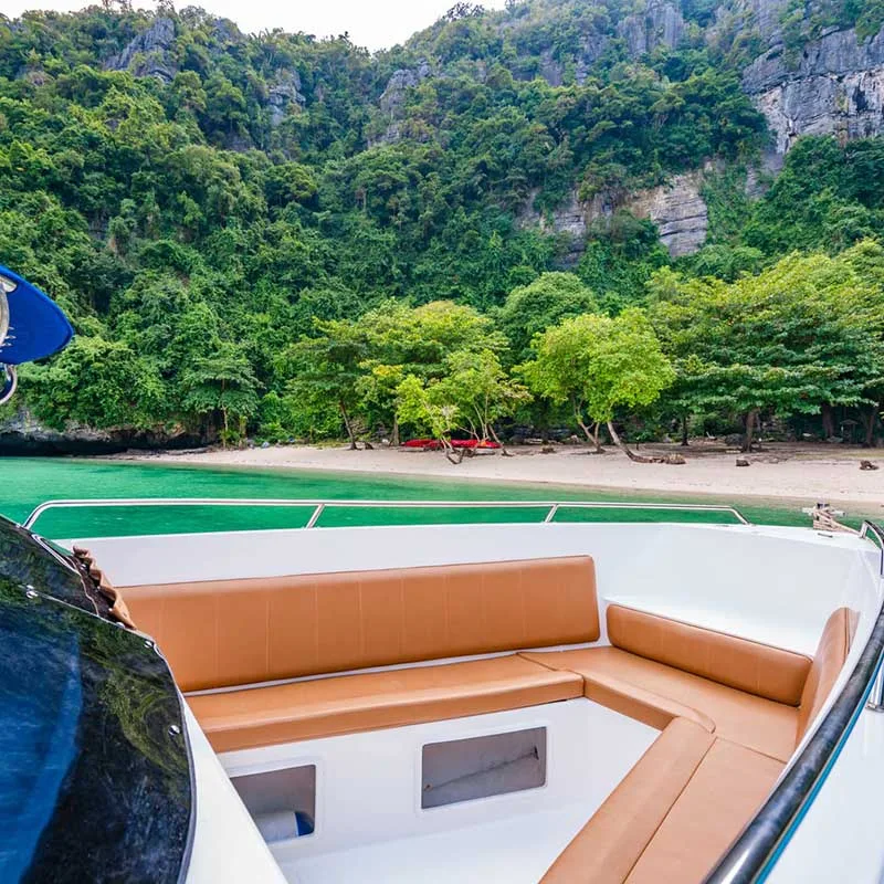 private-group-charter-speedboat-koh-samui-island-hopping