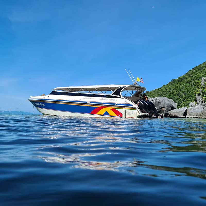 speedboat-private-charter-koh-samui-island-tour speedboat-private-charter-koh-samui-island-tour