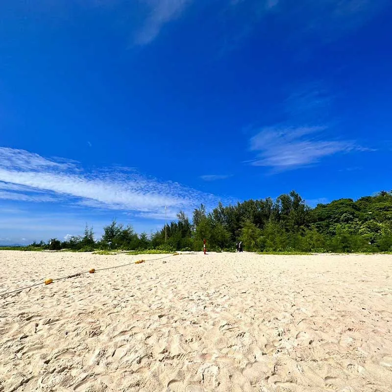 Daily-Tour-Phi-Phi-Maya-Bay-Bamboo-Island-By-Speedboat-2