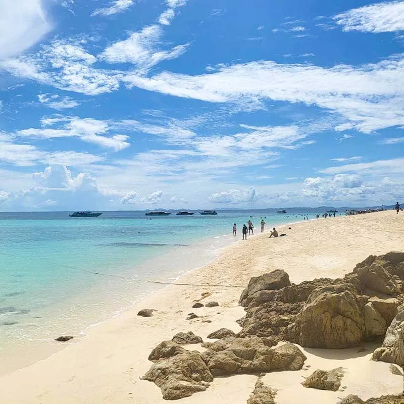 Daily-Tour-Phi-Phi-Maya-Bay-Bamboo-Island-By-Speedboat