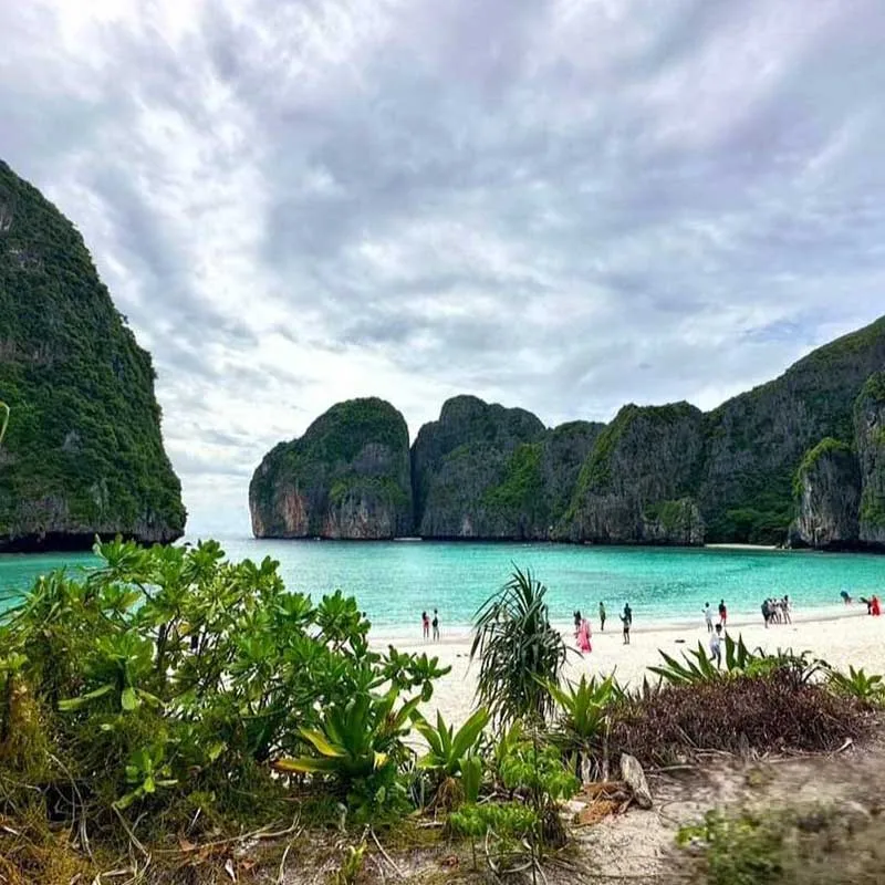 Maya-Bay-The-Beach-daily-tours-Phuket-by-speedboat