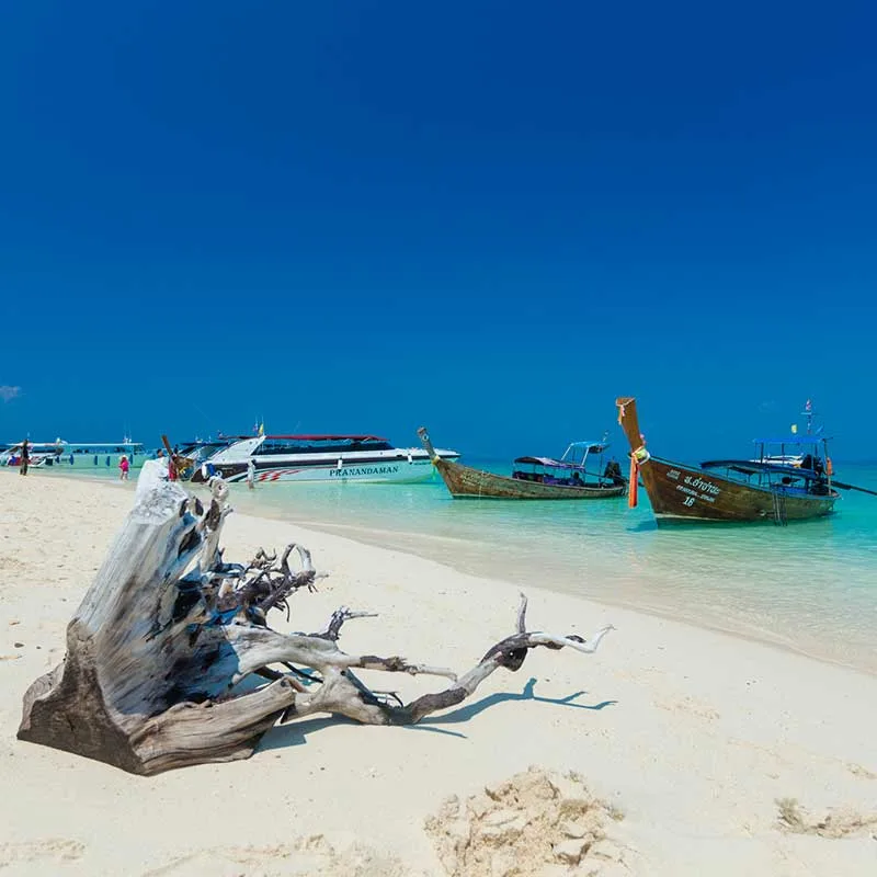Bamboo-island-Phi-Phi-Maya-Bay-Phuket-premium-speedboat-2