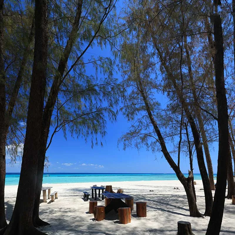 Bamboo-island-Phi-Phi-Maya-Bay-Phuket-premium-speedboat-3