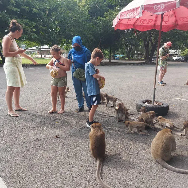 krabi-day-tours-white-water-rafting-&-bamboo-rafting-monkey-cave-5