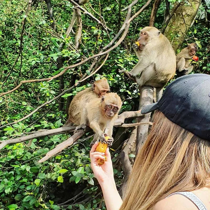 krabi-day-tours-white-water-rafting-&-bamboo-rafting-monkey-cave