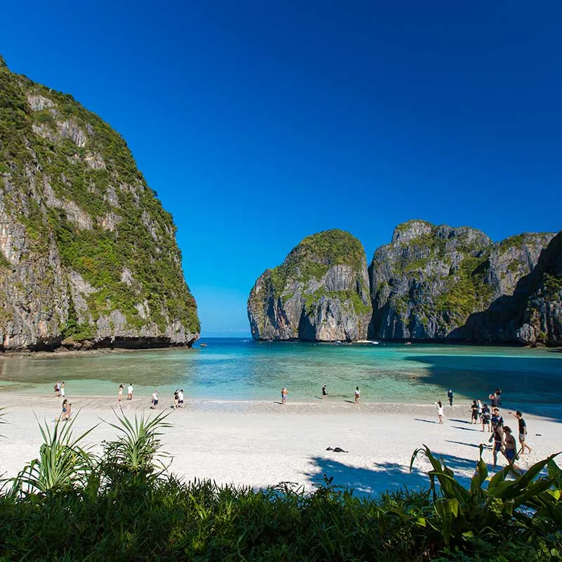 maya-bay-2023-tour-day-trip-Phuket-speedboat-Phi-Phi-island