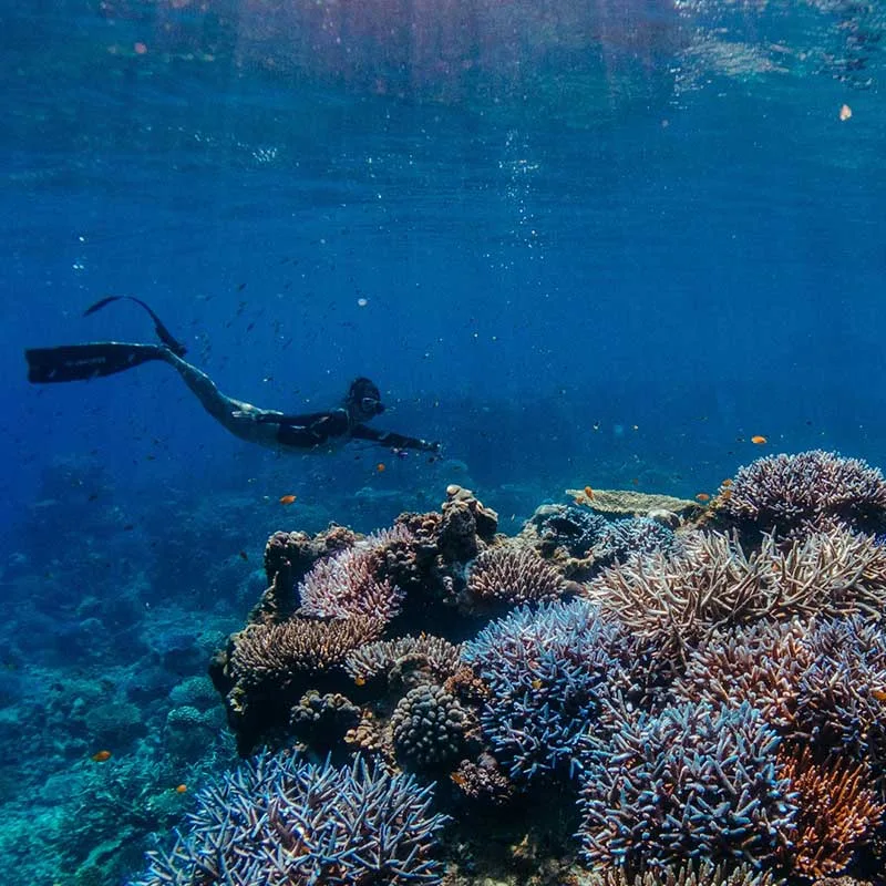 snorkeling-Mae-Yai-Bay-The-Surin-Islands-premium-speedboat-3 snorkeling-Mae-Yai-Bay-The-Surin-Islands-premium-speedboat-3
