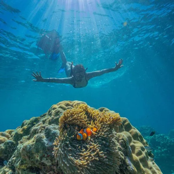 snorkeling-Mae-Yai-Bay-The-Surin-Islands-premium-speedboat-6