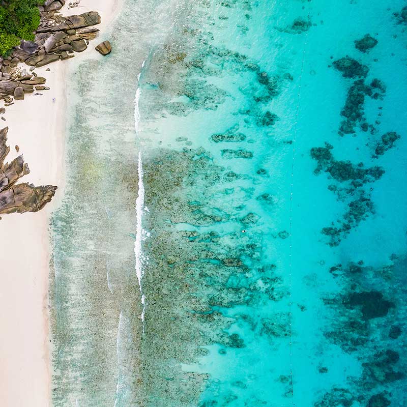snorkeling-Similan-Island-Day-Trip-with-Excursion-Speed-Boat-4 snorkeling-Similan-Island-Day-Trip-with-Excursion-Speed-Boat-4