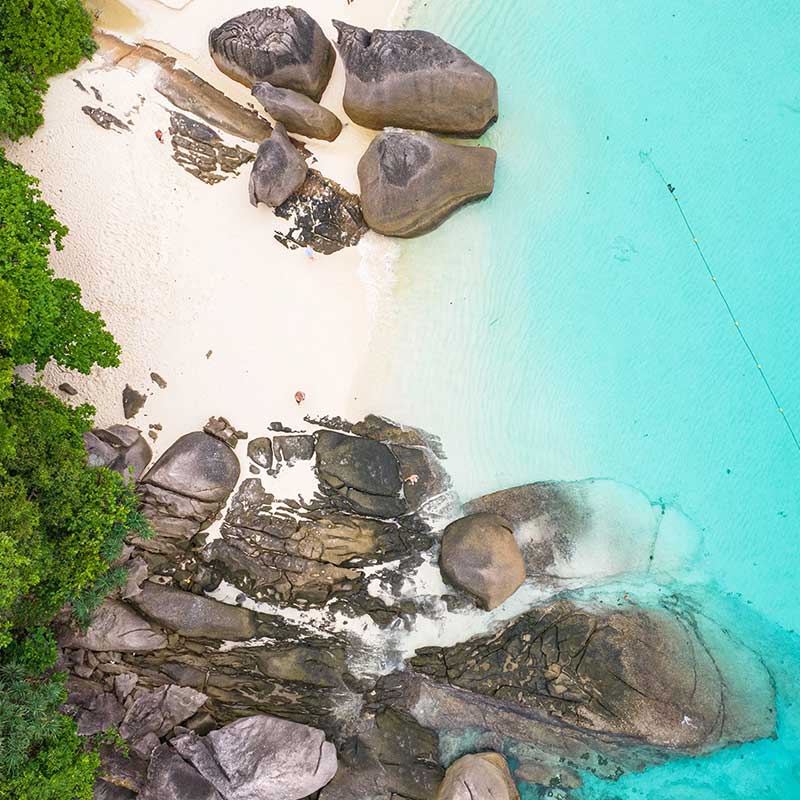 snorkeling-Similan-Island-Day-Trip-with-Excursion-Speed-Boat snorkeling-Similan-Island-Day-Trip-with-Excursion-Speed-Boat