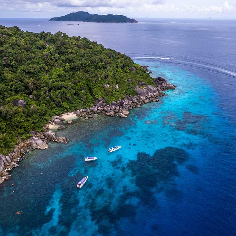 snorkeling-with-turtle-Similan-island-premium-day-trip-2 snorkeling-with-turtle-Similan-island-premium-day-trip-2