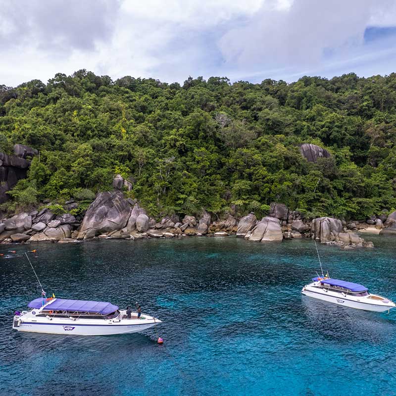 snorkeling-with-turtle-Similan-island-premium-day-trip-3 snorkeling-with-turtle-Similan-island-premium-day-trip-3