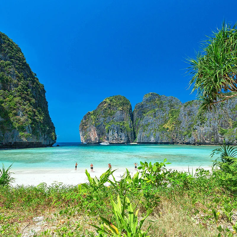 Day-trip-Phi-Phi-Maya-Bay-Phuket-premium-catamaran-4