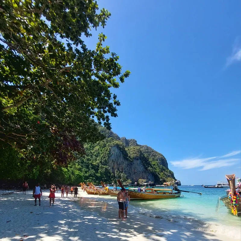 Early-Bird-Maya-Bay-Phi-Phi-Island-by-Speedboat-Phuket-18 Early-Bird-Maya-Bay-Phi-Phi-Island-by-Speedboat-Phuket-18