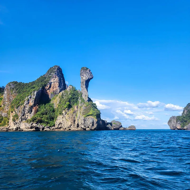 Krabi-Phi-Phi-Island-Early-Bird-Chicken-island Krabi-Phi-Phi-Island-Early-Bird-Chicken-island