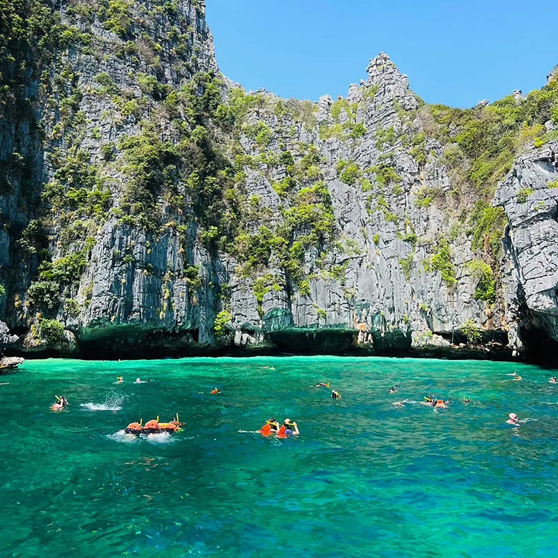 Krabi-Phi-Phi-Island-Early-Bird-Maya-Bay-snorkeling-2 Krabi-Phi-Phi-Island-Early-Bird-Maya-Bay-snorkeling-2