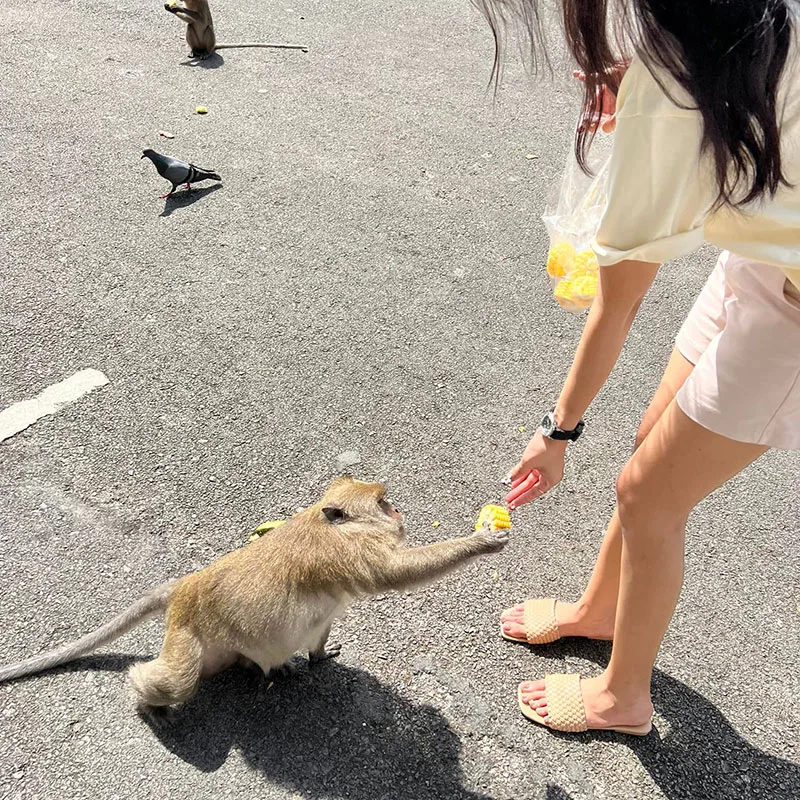 Phuket-Phang-Nga-White-Water-Rafting-Tour-monkey-cave