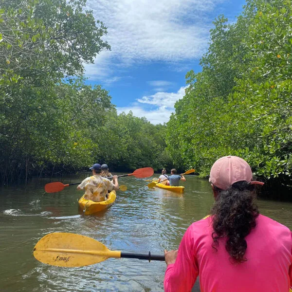 Yao-Yai-Island-Tours-Kayaking-Mangrove-Forest