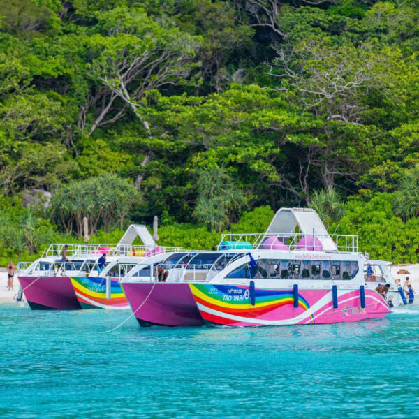 Phuket-Premium-Speed-Catamaran-Late-Phi-Phi,-Maya-&-Bamboo