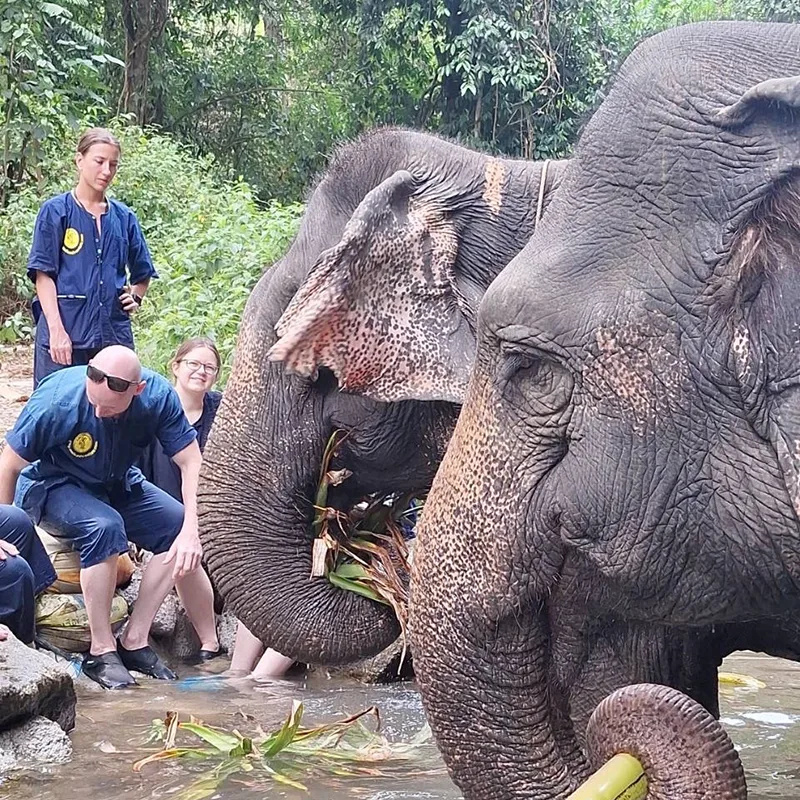 Khao-Lak-Day-Trip-Elephant-Bathing-Rafting-5-km-4 Khao-Lak-Day-Trip-Elephant-Bathing-Rafting-5-km-4