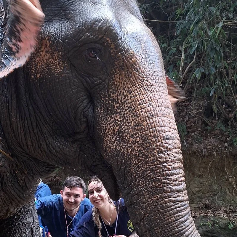 Khao-Lak-Day-Trip-Elephant-Bathing-Rafting-5-km-5 Khao-Lak-Day-Trip-Elephant-Bathing-Rafting-5-km-5