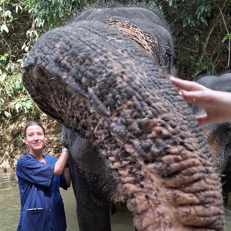 Khao-Lak-Tours-River-Kayak-Elephant-Bathing Khao-Lak-Tours-River-Kayak-Elephant-Bathing