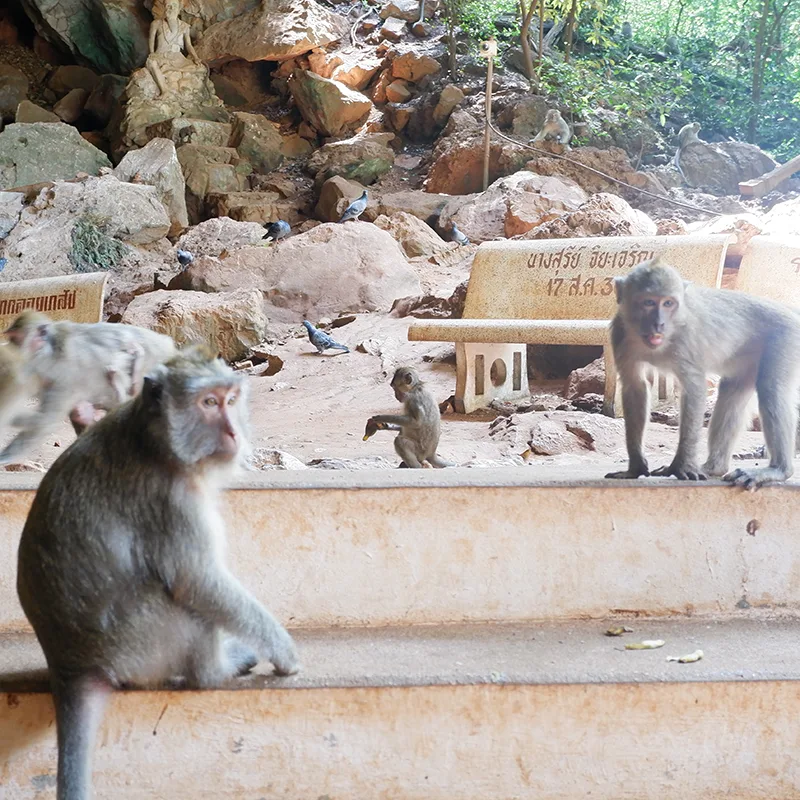 Phuket-Day-Trip-Private-James-Bond-Island-Monkey-Temple-2 Phuket-Day-Trip-Private-James-Bond-Island-Monkey-Temple-2
