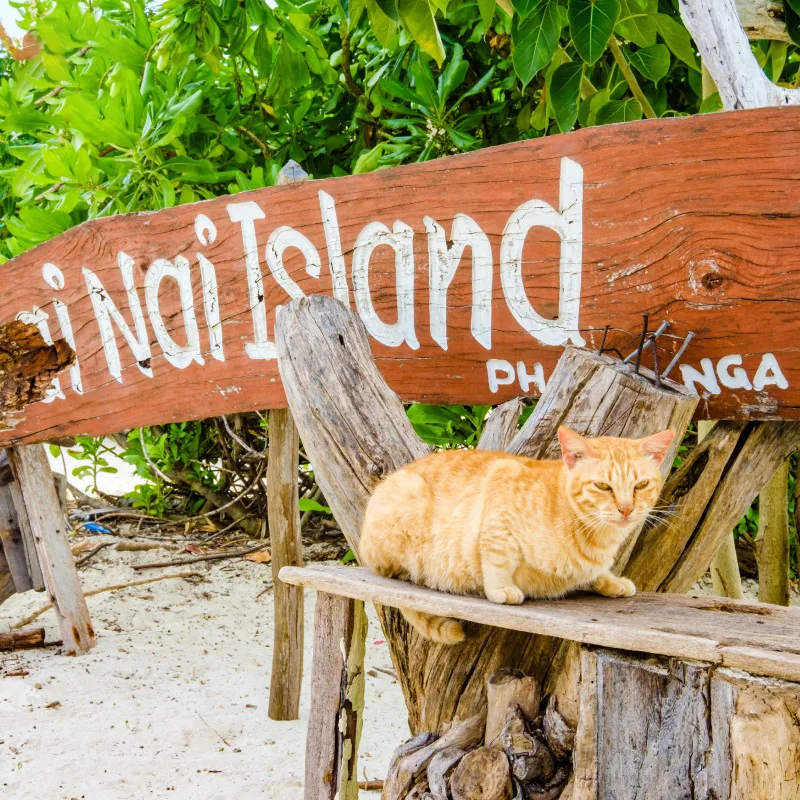 Premium-Speed-Catamaran-Phi-Phi-Khai-Island-Phuket