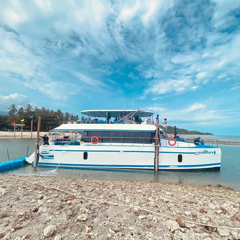 Samui-Tour-Speed-Catamaran-Koh-Tan-Pig-Island-Dolphins-13