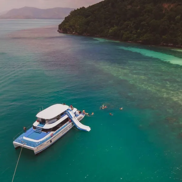 Samui-Tour-Speed-Catamaran-Koh-Tan-Pig-Island-Dolphins-14