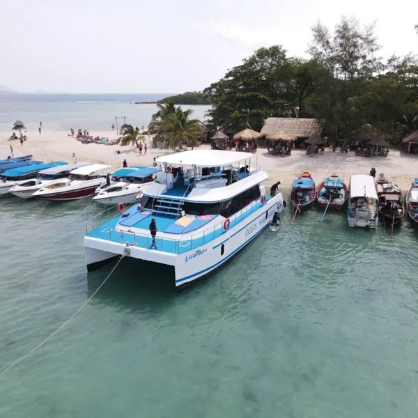 Samui-Tour-Speed-Catamaran-Koh-Tan-Pig-Island-Dolphins-15