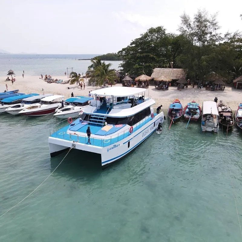 Samui-Tour-Speed-Catamaran-Koh-Tan-Pig-Island-Dolphins-15