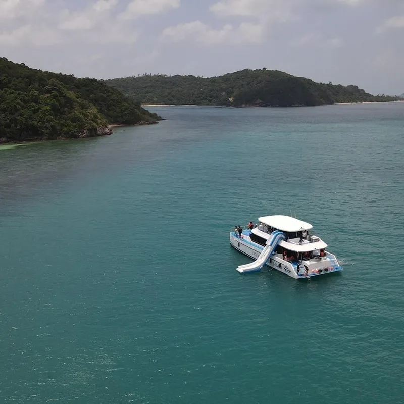 Samui-Tour-Speed-Catamaran-Koh-Tan-Pig-Island-Dolphins-18