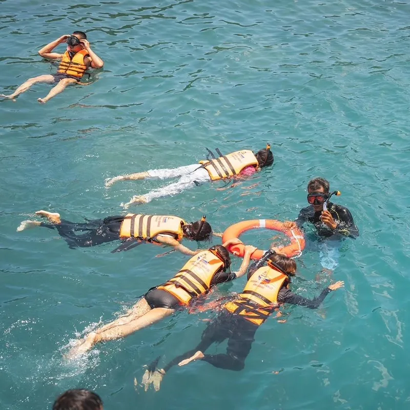 Samui-Tour-Speed-Catamaran-Koh-Tan-Pig-Island-Dolphins-2