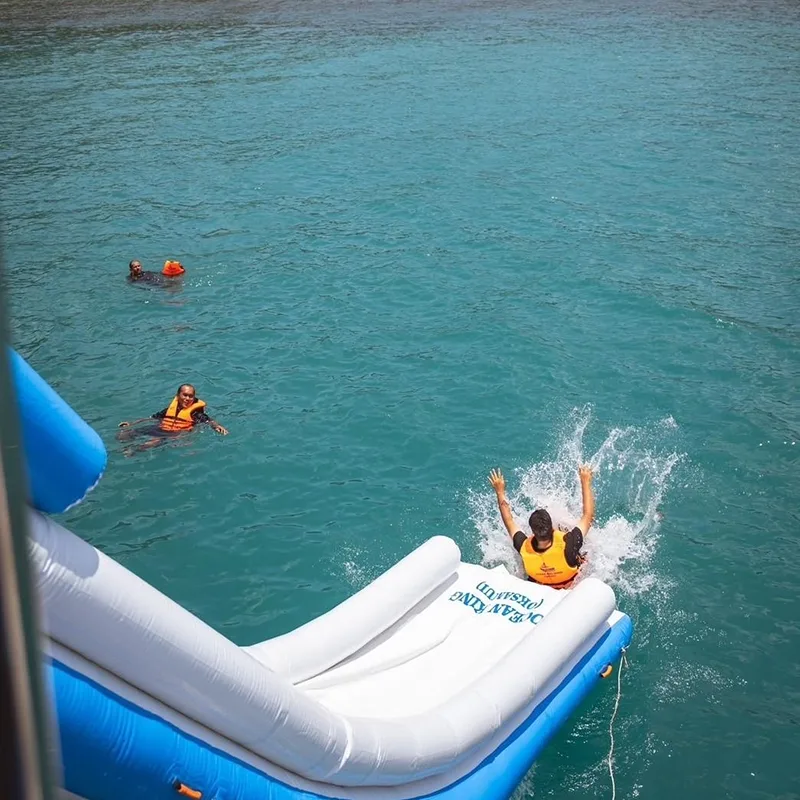 Samui-Tour-Speed-Catamaran-Koh-Tan-Pig-Island-Dolphins-6