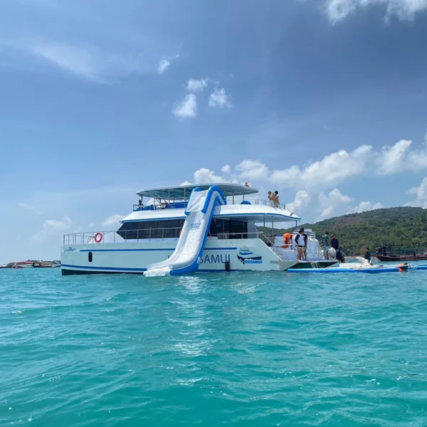Samui-Tour-Speed-Catamaran-Koh-Tan-Pig-Island-Dolphins