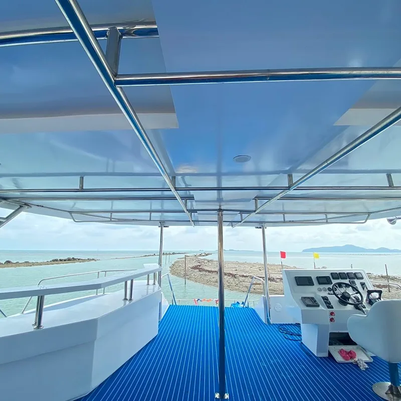 Samui-Tour-Speed-Catamaran-Koh-Tan-Pig-Island-Dolphins-9