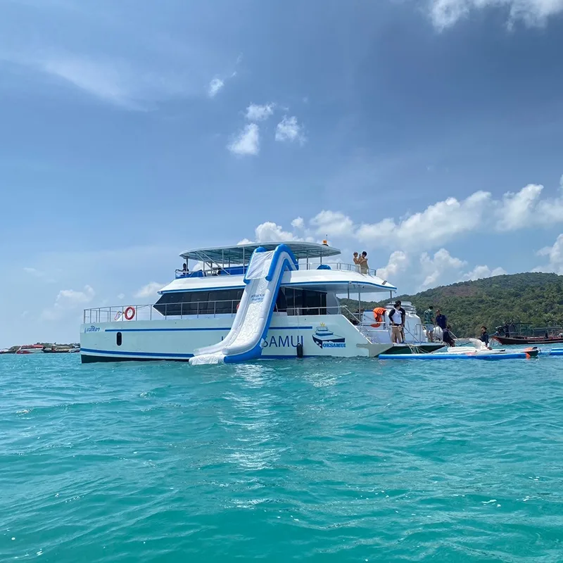 Samui-Tour-Speed-Catamaran-Koh-Tan-Pig-Island-Dolphins