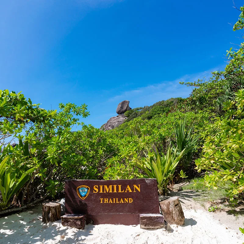 Krabi-Day-Tour-Snorkeling-Similan-Islands-by-Speedboat-5 Krabi-Day-Tour-Snorkeling-Similan-Islands-by-Speedboat-5