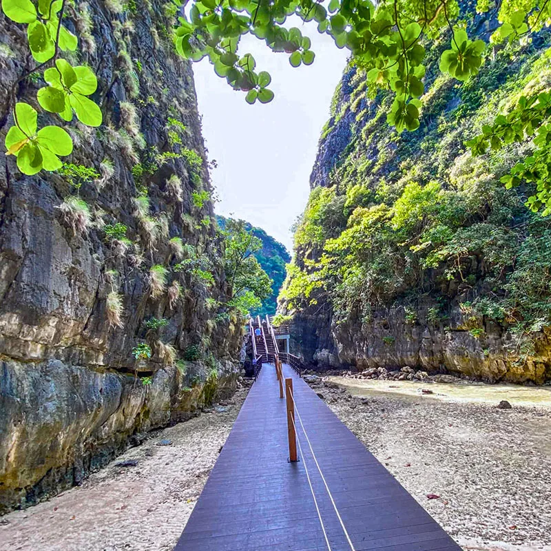 Phi-Phi-island-Sunrise-Early-Bird-Maya-Bay-Bamboo-Island-14