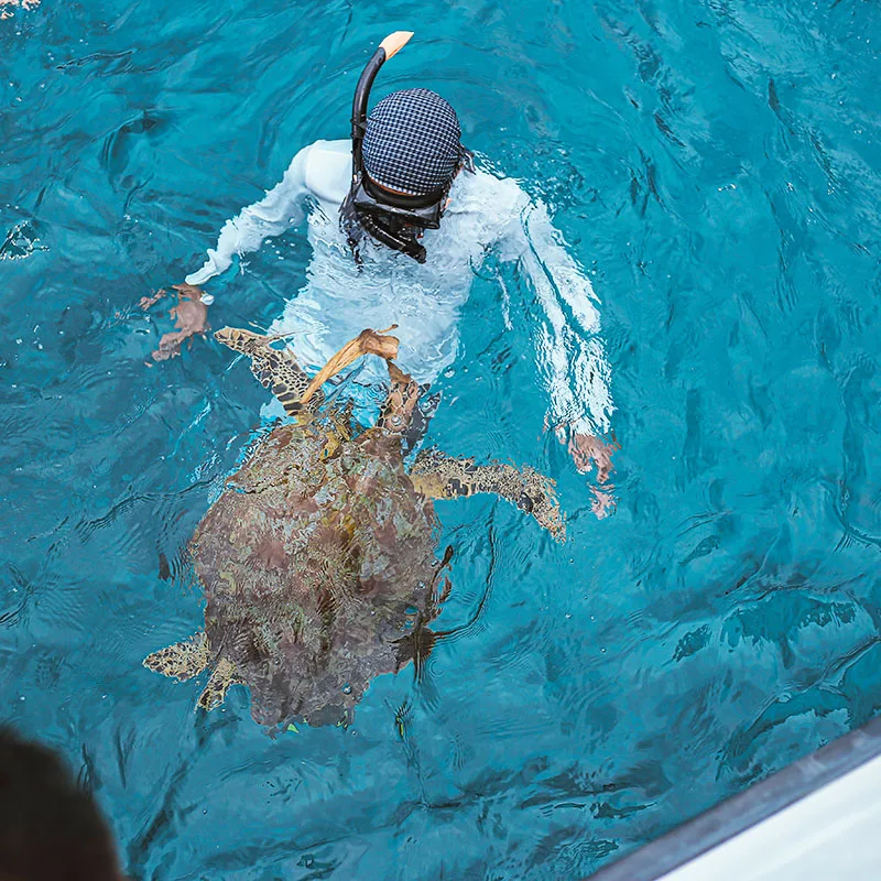 Phuket-Similan-Island-Tours-by-Luxury-Yacht-Catamaran-5
