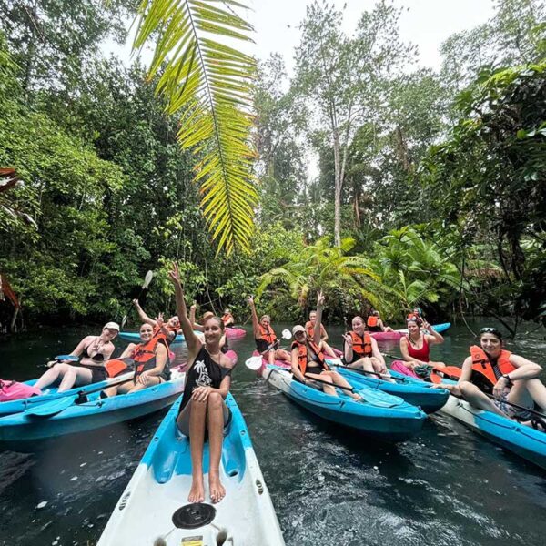 Kayaking-Khlong-Nam-Sai-Elephant-Krabi-Tour