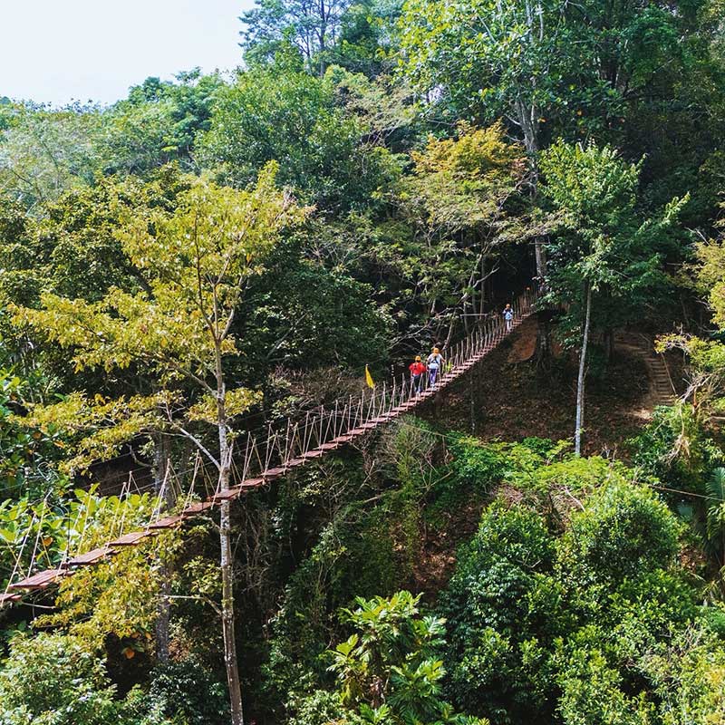 Experience-1-hrs.-Flying-Hanuman-Zipline-Phuket Experience-1-hrs.-Flying-Hanuman-Zipline-Phuket