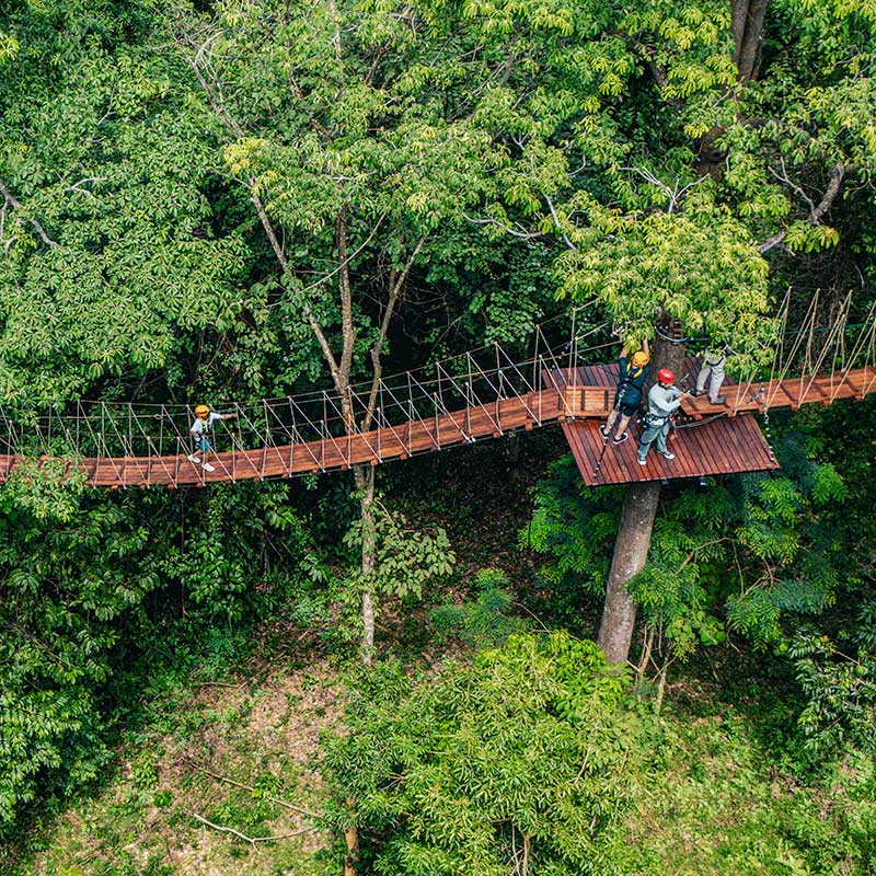 Khao-Lak-Jungle-Adventure-Zipline-27-Platforms-Sky-Rock Khao-Lak-Jungle-Adventure-Zipline-27-Platforms-Sky-Rock
