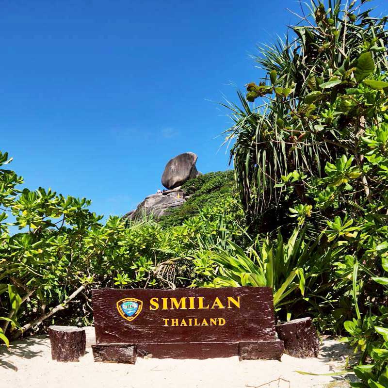 Phuket-Similan-Late-Morning-Tours-Premium-Speed-Catamaran-16 Phuket-Similan-Late-Morning-Tours-Premium-Speed-Catamaran-16