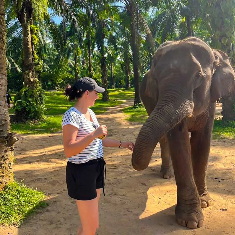 Krabi-Tour-Elephants-Care-Emerald-Pool-Hot-Spring-4