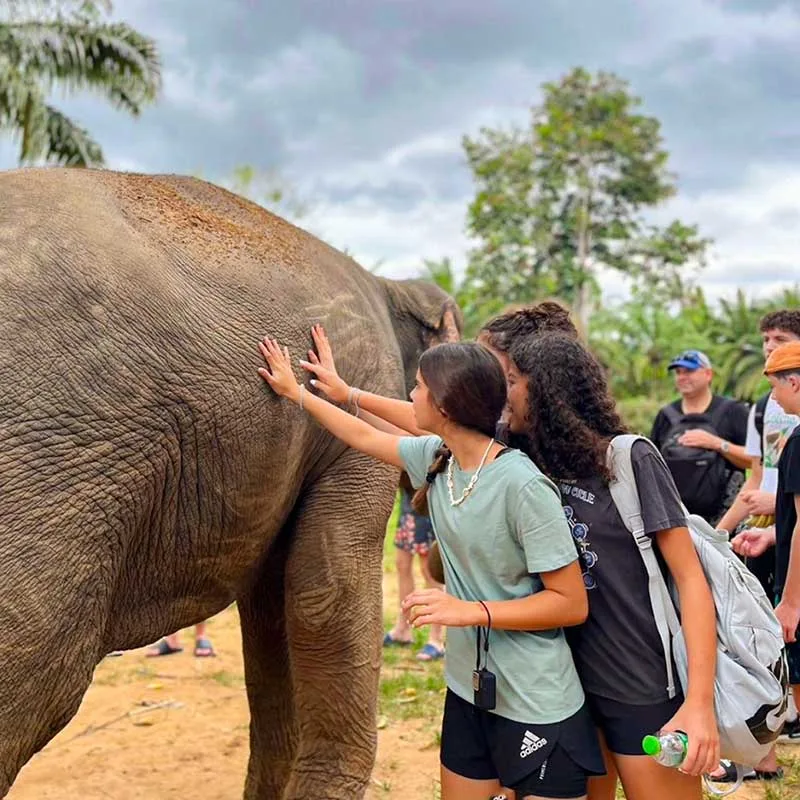 Krabi-Tour-Elephants-Care-Emerald-Pool-Hot-Spring-5