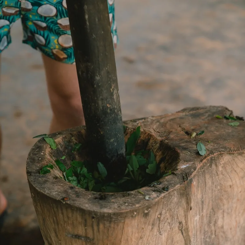 Krabi Tour Walking with Elephants Make Herbal Medicine-2