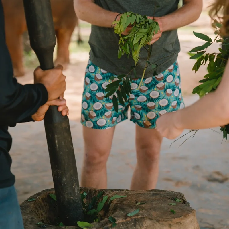 Krabi Tour Walking with Elephants Make Herbal Medicine-3